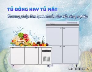 tủ đông và tủ mát - 2 phương pháp bảo quản lạnh bạn cần biết